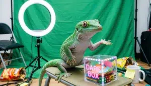 Geico Slogan